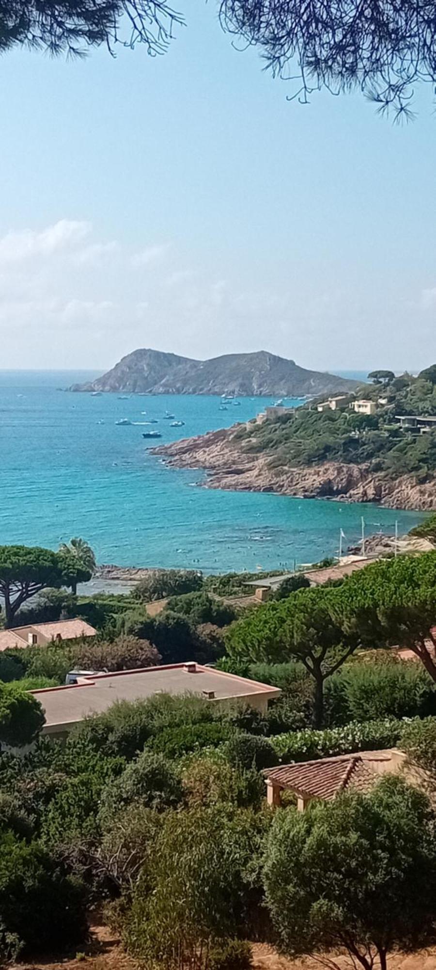 Appartement T2 A La Croix Valmer Piscine Et Tennis Eksteriør billede